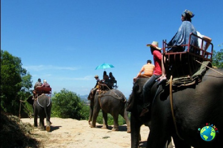 Elephant Trekking 30 Mins