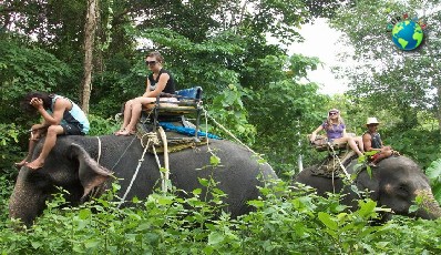 Elephant Trekking 45 Mins