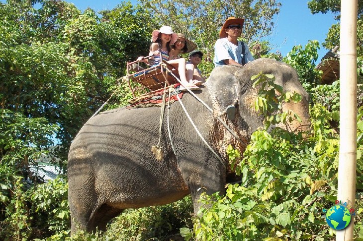 Elephant Trekking 45 Mins