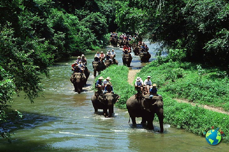 Elephant Trekking 45 Mins