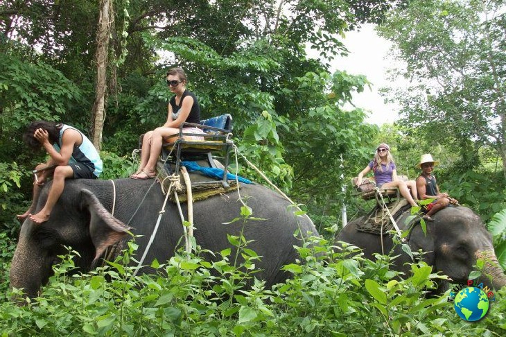 Elephant Trekking 60 Mins