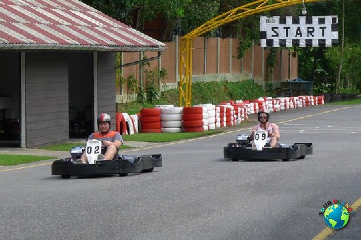 Single Go-kart