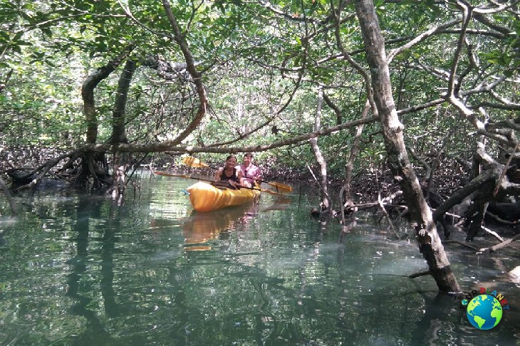 Kayaking - Koh Yao Yai