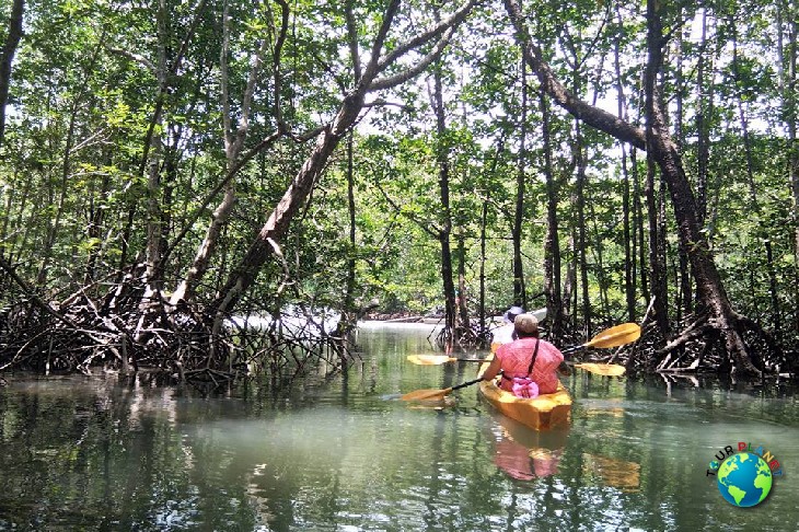 Kayaking - Koh Yao Yai