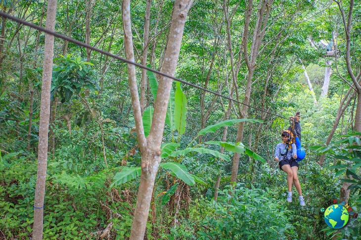 Zipline 32 Platforms