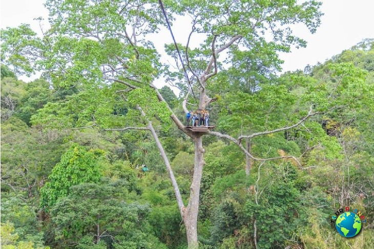 Zipline 18 Platforms