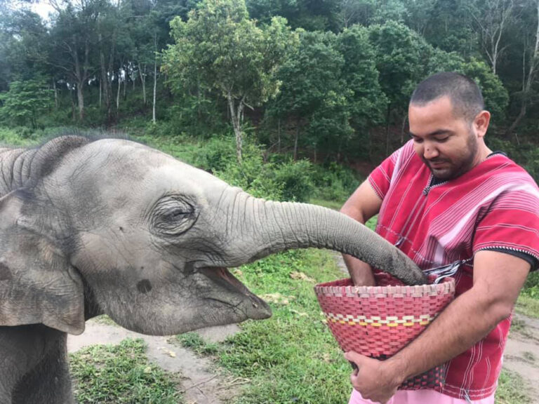 Elephant Half Day Morning/Afternoon