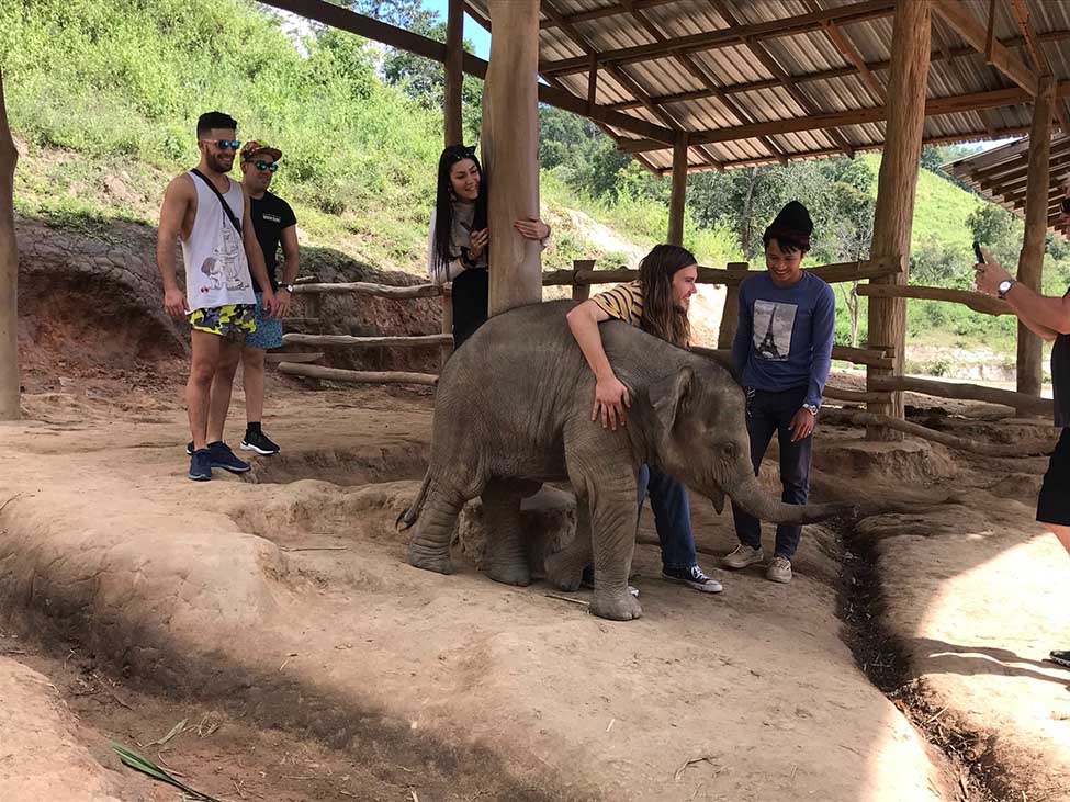 ELEPHANT FULL-DAY PRIVATE EXPERIENCE