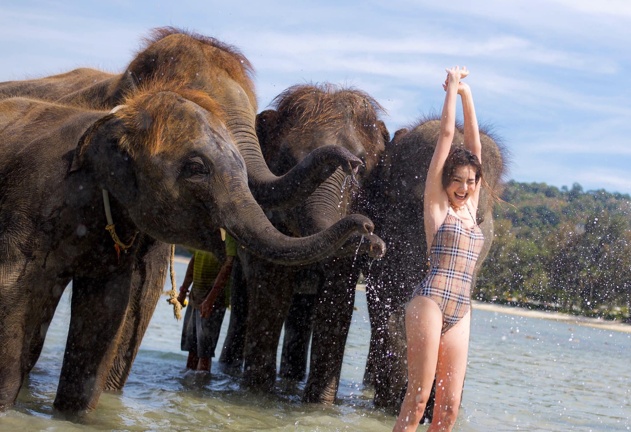 Elephant Swim & Photograph By LB (Phuket)