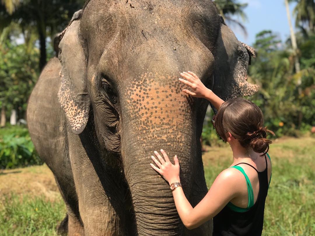 Aonang Elephant Sanctuary (Krabi)